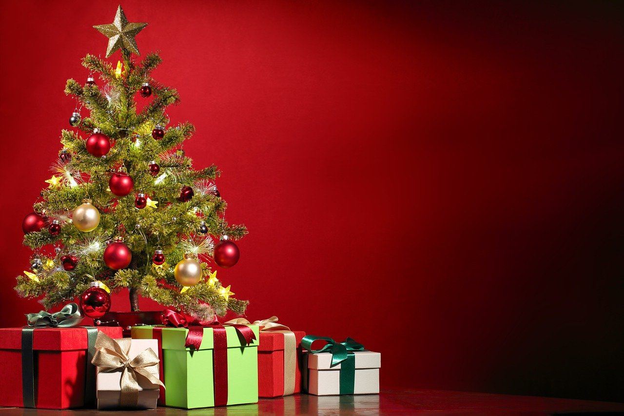 Ik wens u een sprankelend kerstfeest en een helder gelukkig nieuwjaar